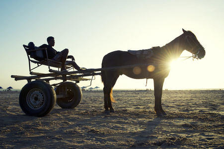 马和马车日落在巴西的海滩上