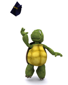 乌龟庆祝毕业