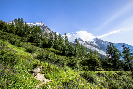 阿尔卑斯山