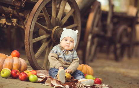 年轻可爱的小男孩坐在户外在秋天。周围铺设的南瓜