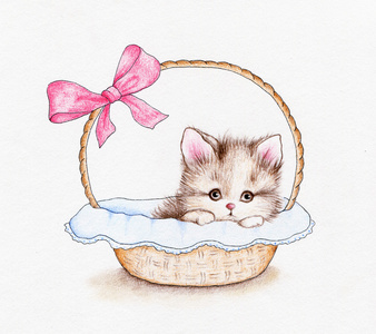 可爱的小猫在篮子里