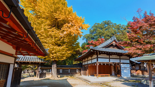 tamukeyama 八幡在奈良