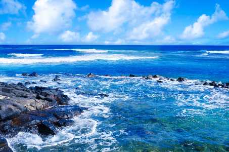 在夏威夷考艾岛的热带风景