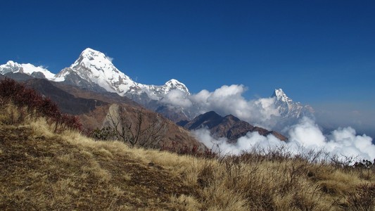 安纳布尔纳南 hiun 矗立 machapuchare