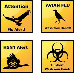 禽流感警报图标图片