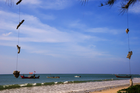 沙的海滩热带海