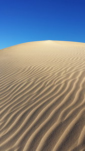 沙漠和沙丘