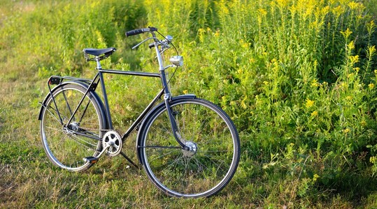 玄武岩列 kirkjugolf荷兰的老复古自行车在农村区域中的字段