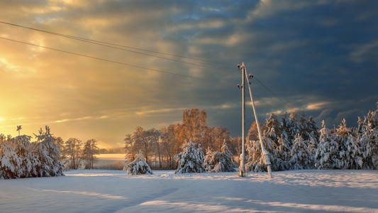 雪覆盖了冬季农村在日落的时候在拉脱维亚