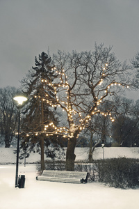 白色公园座椅下照亮了树在冬天