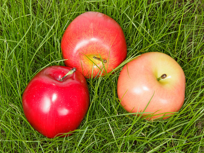 三个熟透了的苹果绿色的草地上