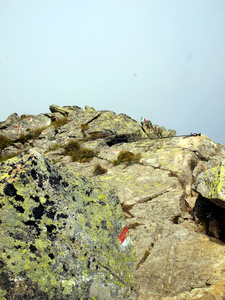 cima zeledria 特征峰中布伦塔白云岩，其中