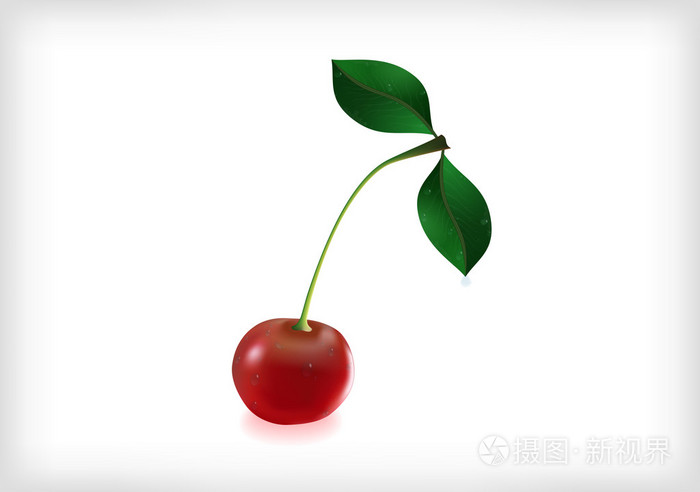 樱桃树,树叶和水滴插画-正版商用图片1eh1jo-摄图新