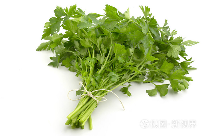 群的新鲜欧芹