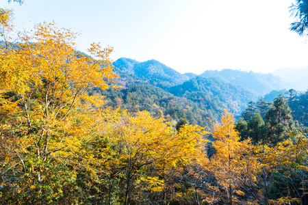 在山中的秋景