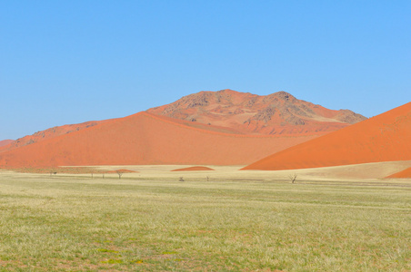 草和沙丘景观附近 sossusvlei，纳米比亚