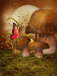 蘑菇，月亮和蝴蝶