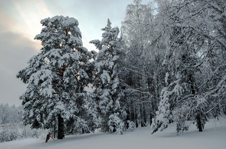 乌拉尔山区的冬天