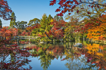 京都议定书在 eikando 的寺庙花园