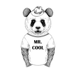 绘制的插图的打扮熊猫时髦的手