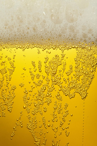 泡沫和泡沫的一杯啤酒图片