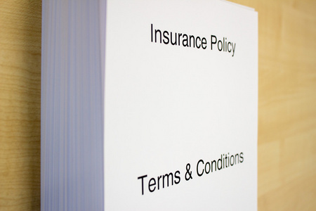 保险保单条款  条件