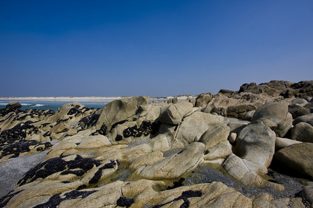 海岸线景观