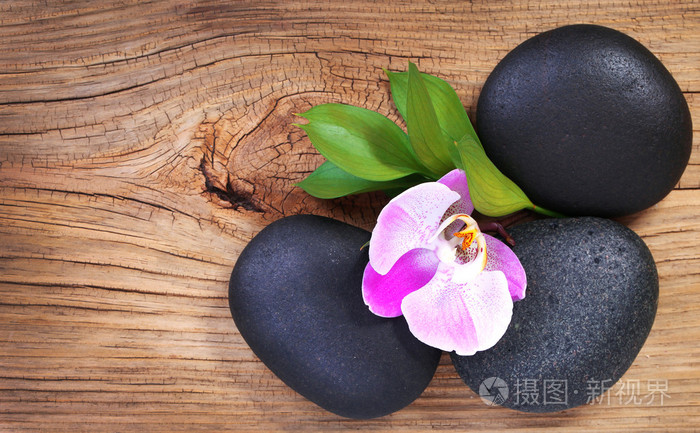 禅宗的鹅卵石.spa 石头和粉红色的兰花花,绿色的叶子