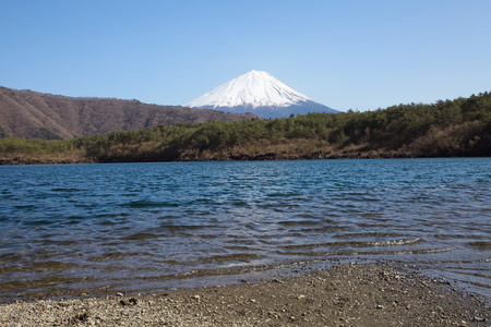 春天，樱花盛开樱花富士山