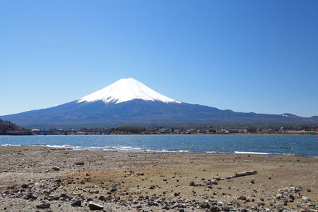 春天，樱花盛开樱花富士山