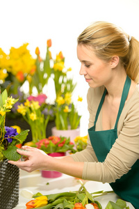 花店安排丰富多彩的春天的花朵图片
