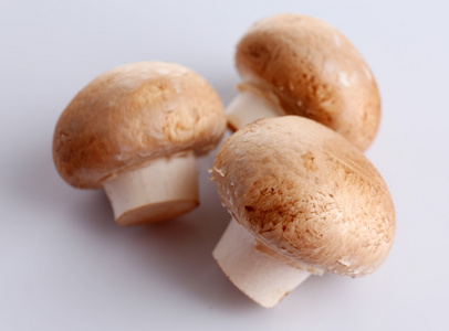 孤立在白纸上的鲜蘑菇