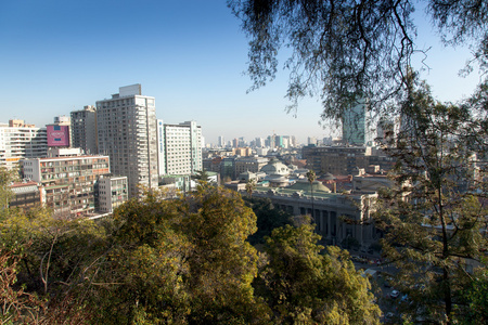 通过茎的城市