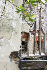 在废墟的房子的窗口