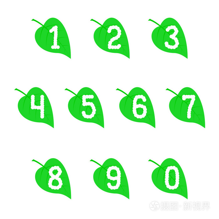一组数字在叶子上
