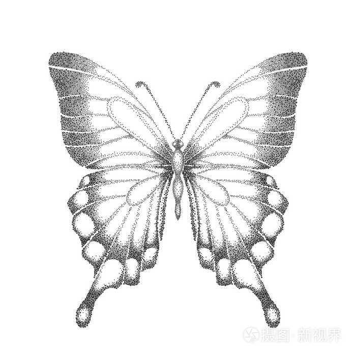 图形黑白相间的蝴蝶.手绘轮廓线和中风.一个孤立的白色衬底上