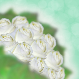 白玫瑰的抽象拼贴画