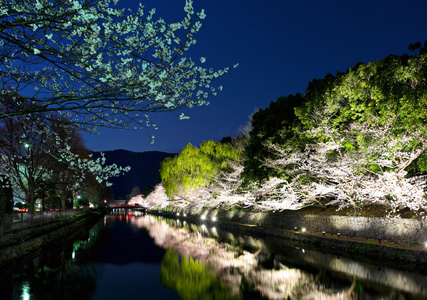 小樱和晚上在京都河