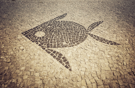 巴拉达蒂茹卡人行道上镶嵌在里约热内卢