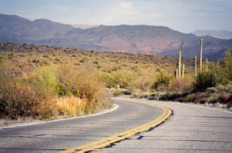 亚利桑那州的沙漠公路