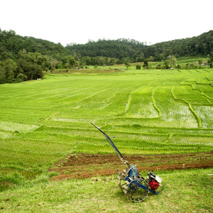 稻田和清迈，泰国的房子