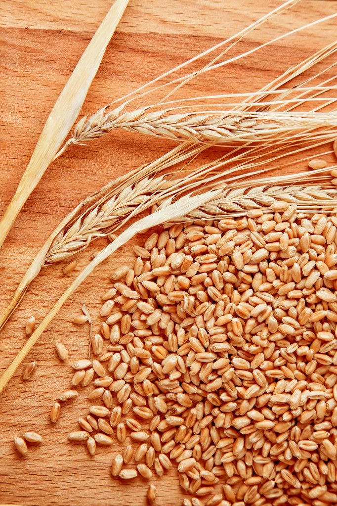 村庄行·看复兴）山西长治潞城区：机械农技双驱动 晚播小麦破困局