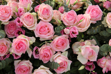 粉色婚礼核心 玫瑰和洋桔梗