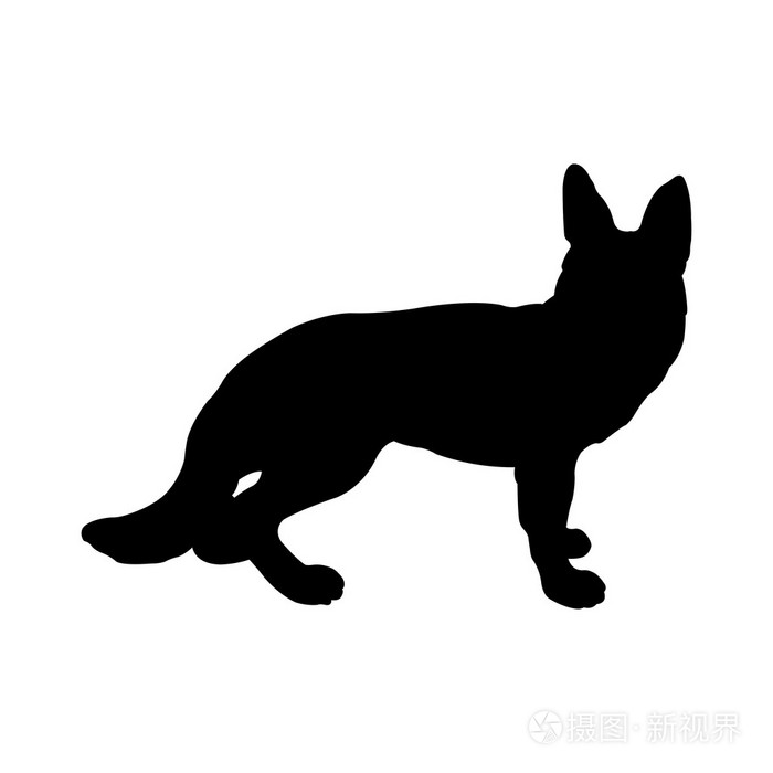 狐狸剪影