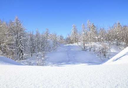 在山的雪景