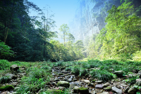 山风景