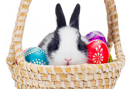 复活节彩蛋与小兔