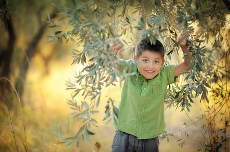 男孩站在一棵橄榄树下