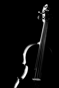 孤立在黑色的小提琴图片