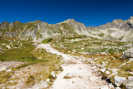 夏天山高塔特拉山区 斯洛伐克 欧洲